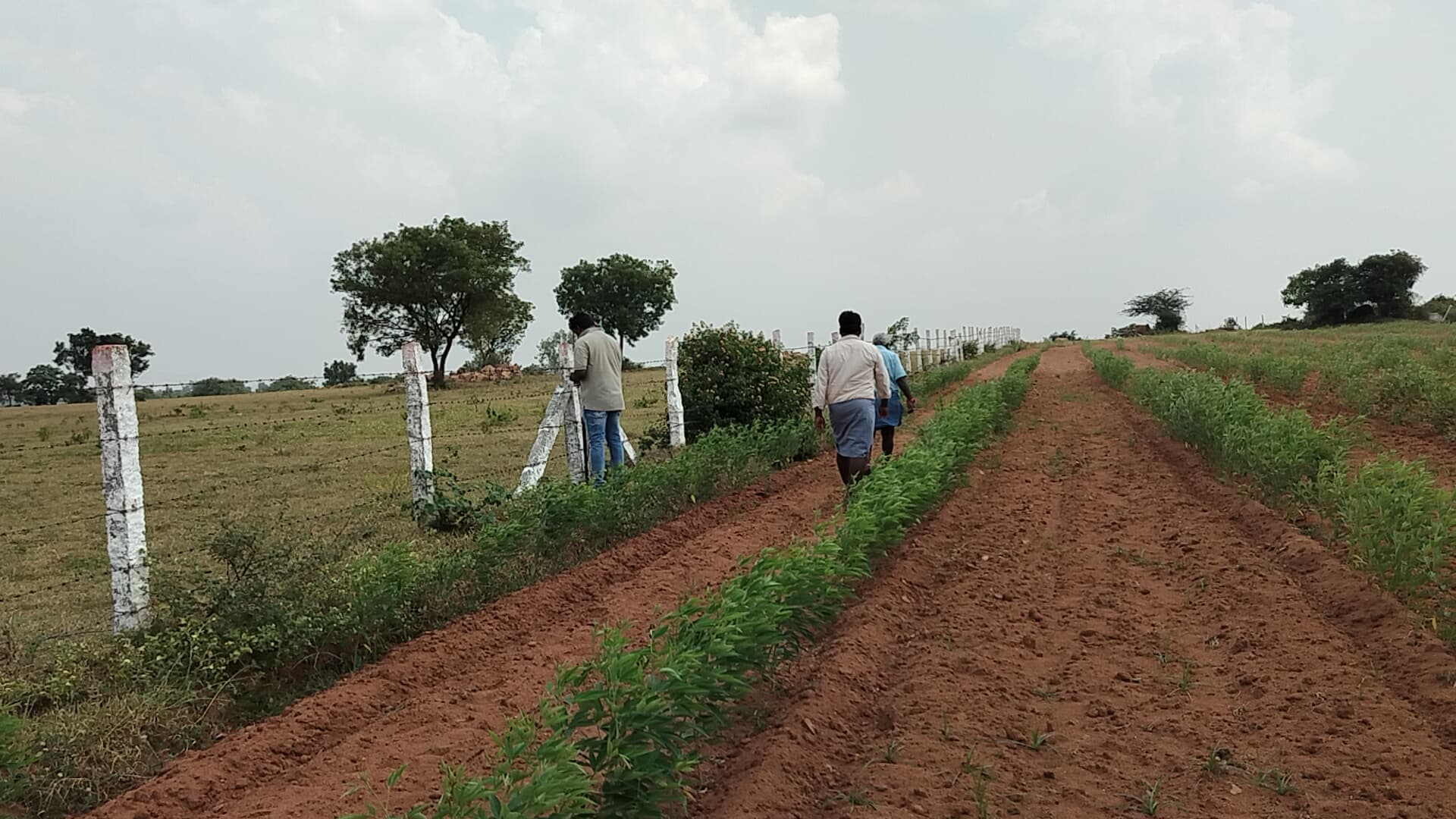 Community Corridors